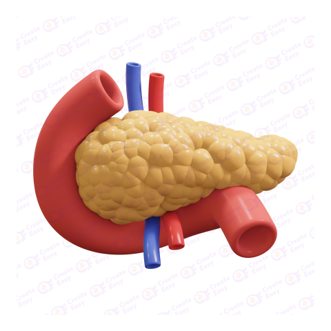 Pancreatic Endocrine/Digestive Body System Health Balanced Healing free 3d png image