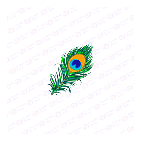 Peacock feather Flat geometric icon png image