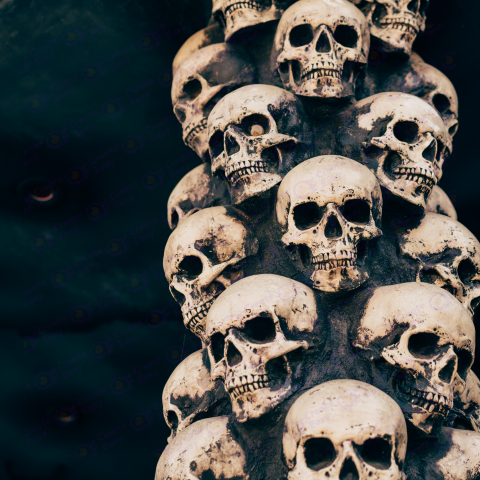 Halloween skull free png images