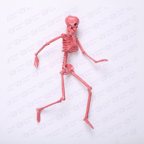 Halloween Little Human Skeleton background free png images