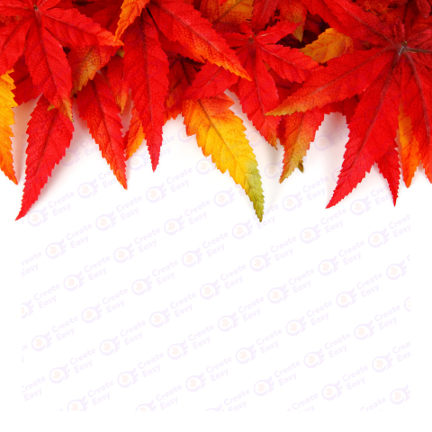 Autumn leaves on a background of a colorful background