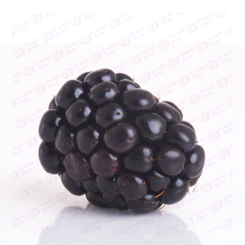 Blackberries free png image