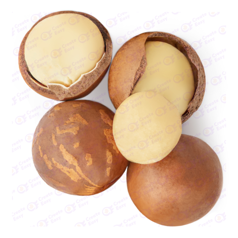 Macadamia free png image