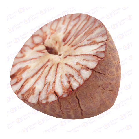 Areca nut free png image