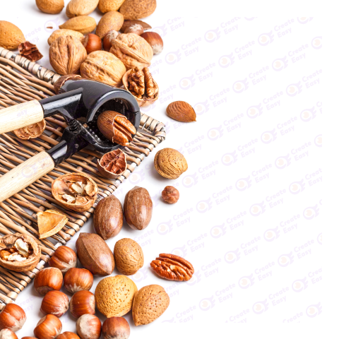 Pecan nut free png image