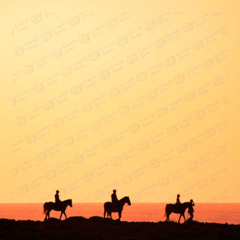 Silhouettes of the horse riders free png image