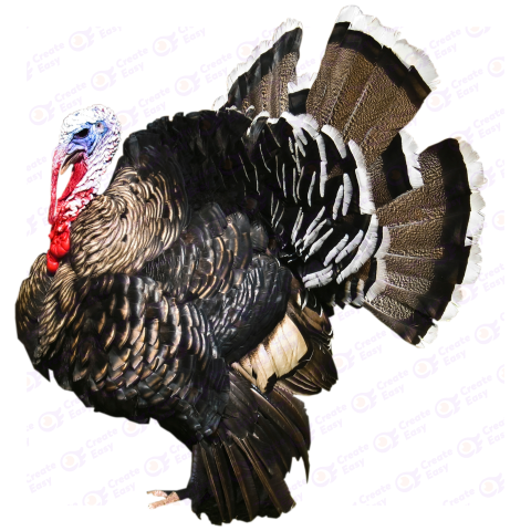 Bronze turkey Free png image