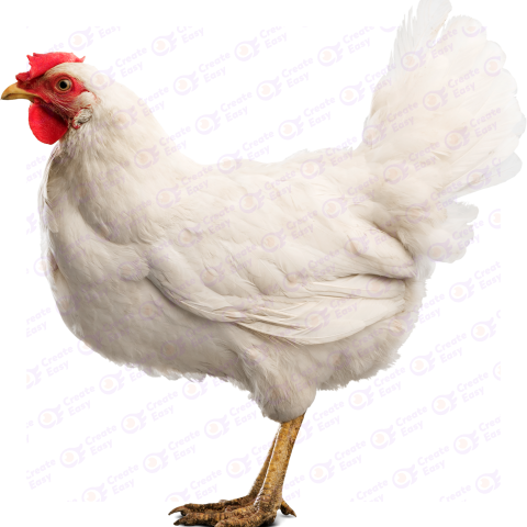 Solid white Free png image