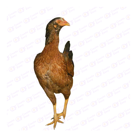 Malay Game Free png image