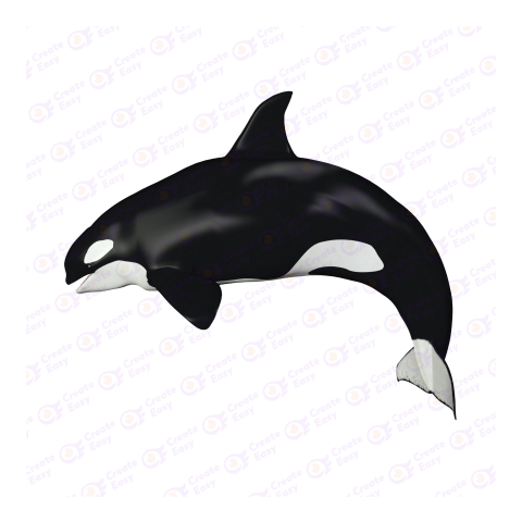 Orca png image