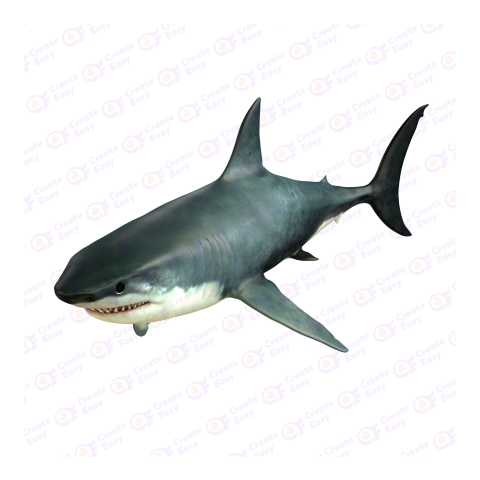 Great white shark png image