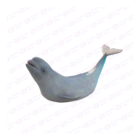 Beluga whale png image