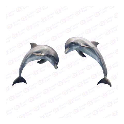Bottlenose dolphin png image