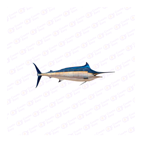 Atlantic blue marlin png image