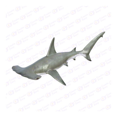 Winghead shark png image