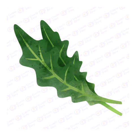 Fresh arugula leaf Flat free png image