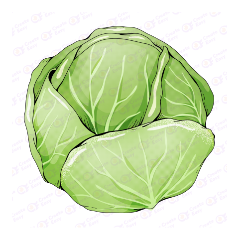 Cabbage Flat icon free png image