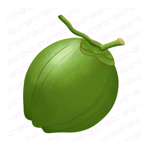 Coconut Flat icon free png image