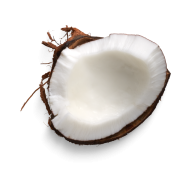 coconut shell piece createeasy png