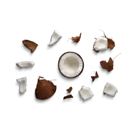 Coconut shells createeasy png