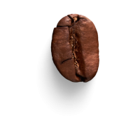 Coffe seed createeasy png