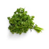 Coriander leaf createeasy png