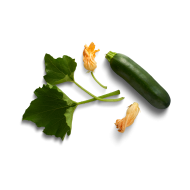 Green leaf createeasy png