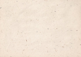 kraft paper texture