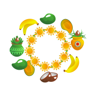 Puja Fruits festival vector art createeasy png