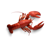 Red lobster createeasy png