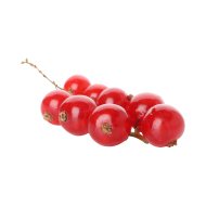 Redcurrant createeasy png